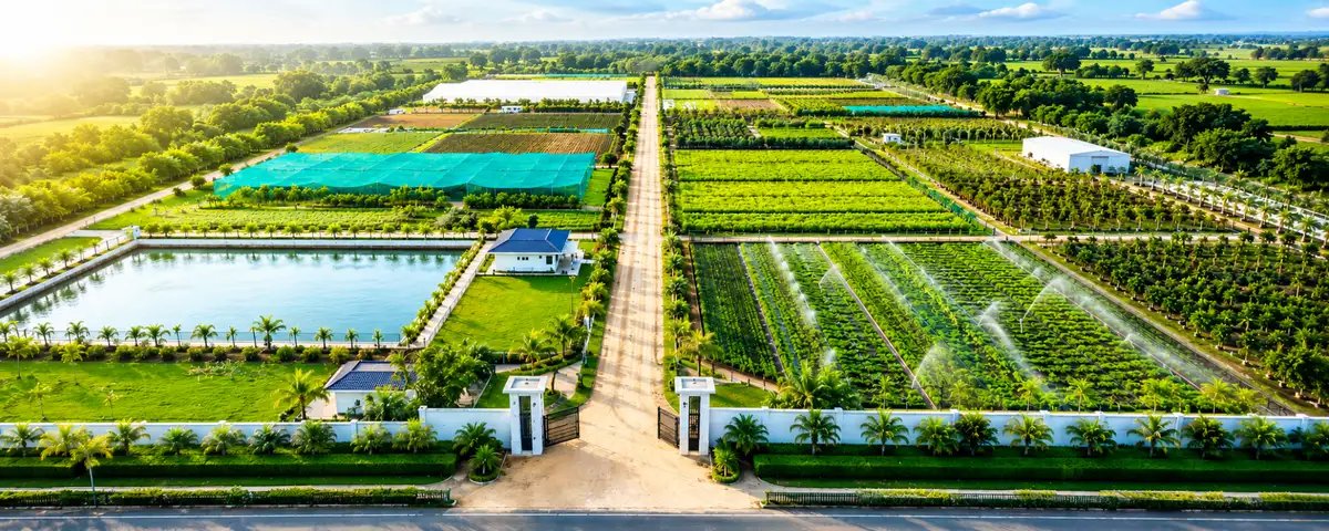 Soil Health & Sustainable Cultivation